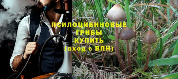 дмт Верхний Тагил