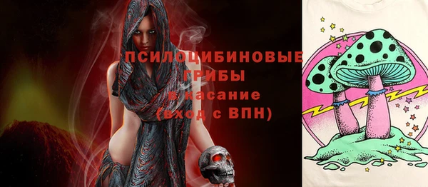 бошки Нязепетровск