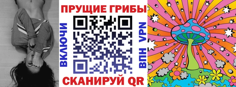 мега ONION  Гагарин  Псилоцибиновые грибы Magic Shrooms  купить закладку 